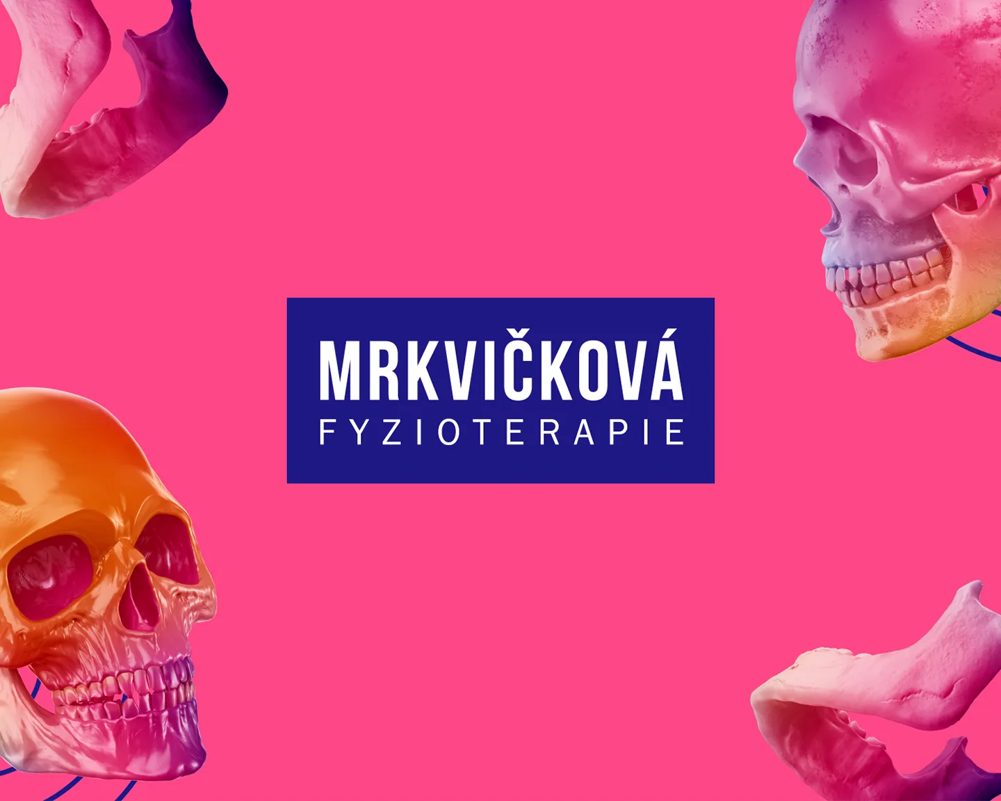 Mrkvičková Physiotherapy — Key Visual